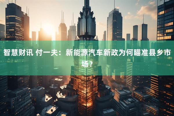 智慧财讯 付一夫：新能源汽车新政为何瞄准县乡市场？