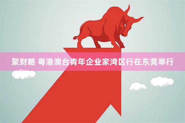 聚财略 粤港澳台青年企业家湾区行在东莞举行
