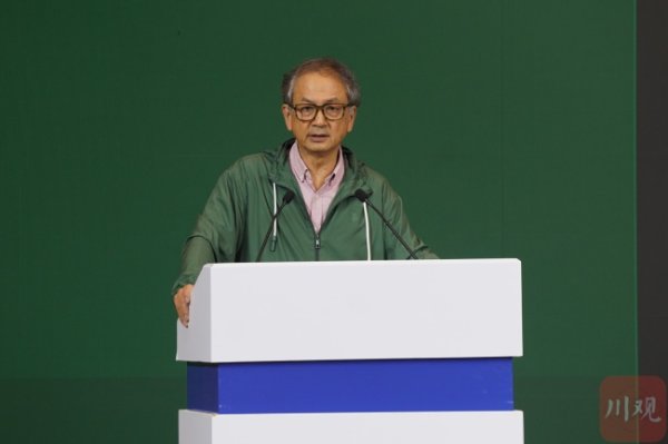 优配好油 凤牙璋是古蜀文明的独特表达 凤鸟主题彰显文化创新
